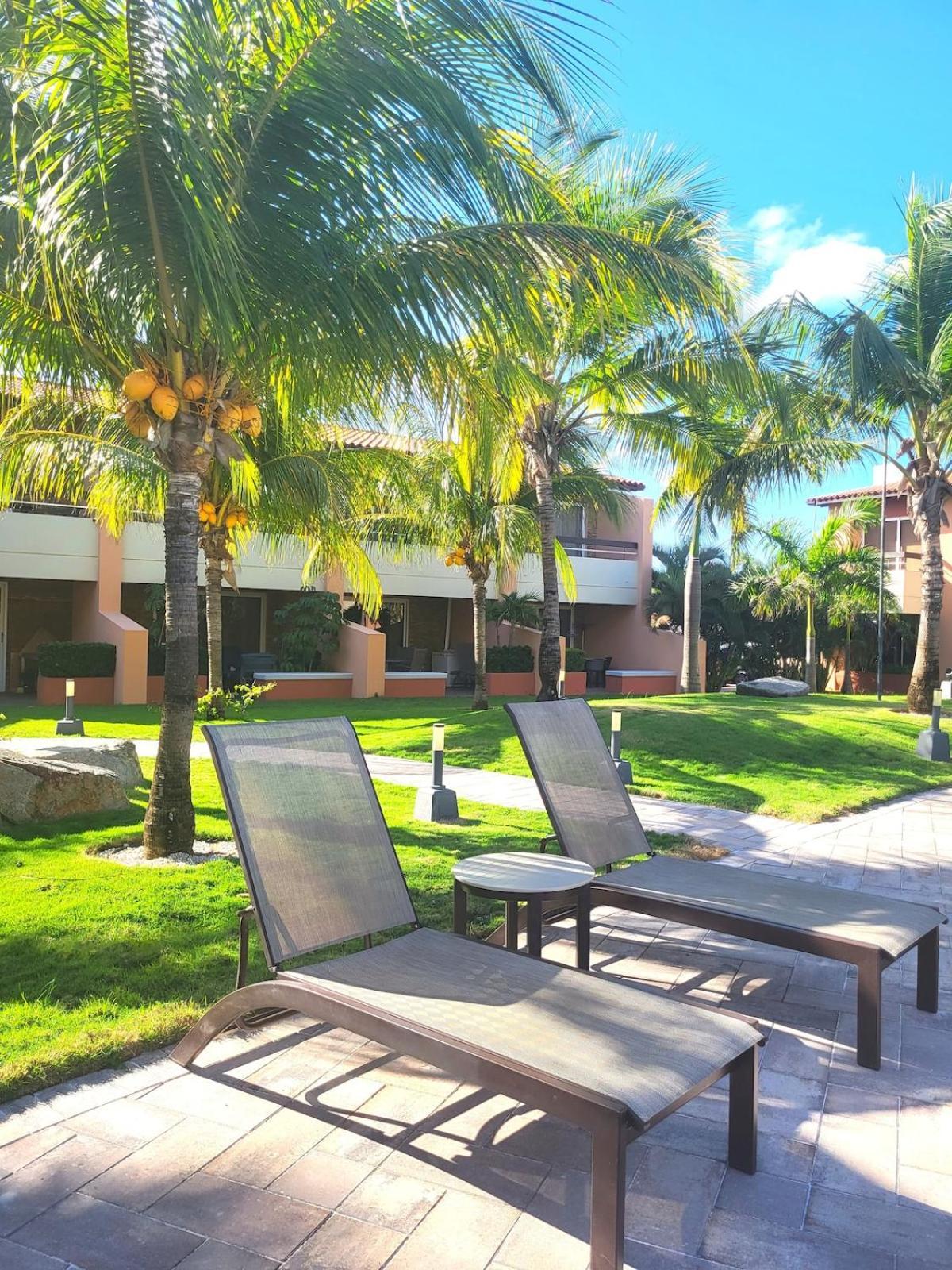 Eagle Beach Luxury House, Walking Distance To The Beach 팜비치 외부 사진