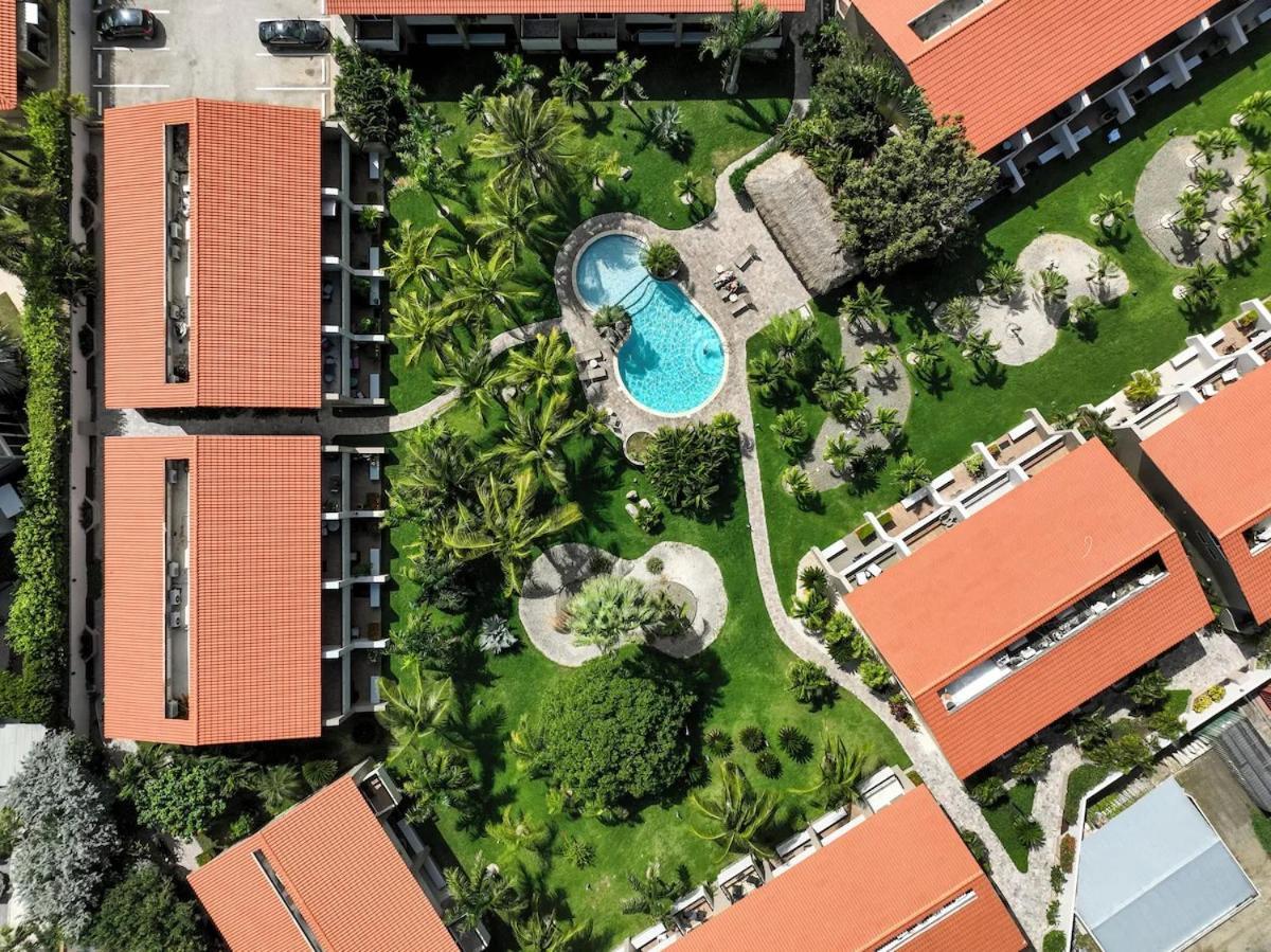 Eagle Beach Luxury House, Walking Distance To The Beach 팜비치 외부 사진